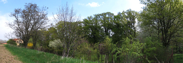 Panoramatický pohled na pozemek ze sousedního pole