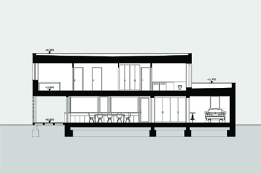 Longitudial section