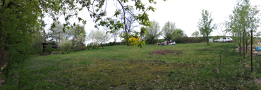 Panoramatický pohled na pozemek ze sousedního lesa
