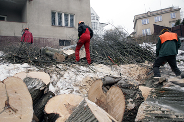 Dřevo bylo použitu při provizorním vytápění objektu po dobu stavby